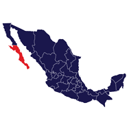 Baja Sur
